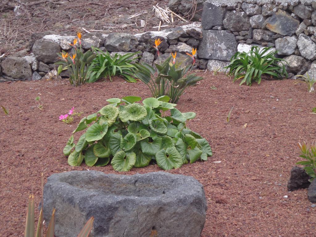 Casa Da Vigia Lägenhet Calheta de Nesquim Exteriör bild